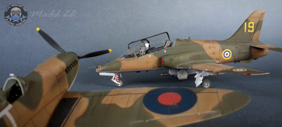 hawk prospettiva