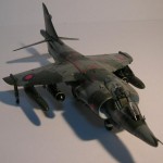 harrier3