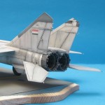IMG_1621coda2